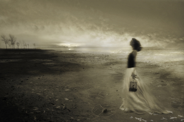 Photograph Angela Bacon Kidwell Wishing To Fly on One Eyeland
